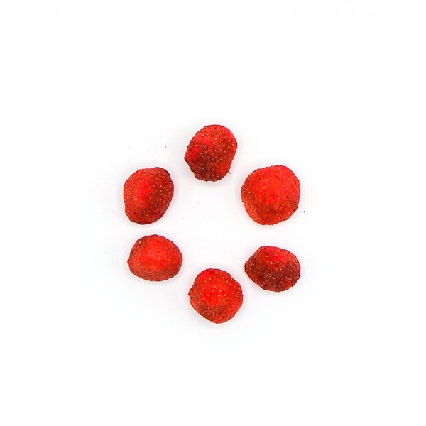 Erdbeeren Gefriergetrocknet